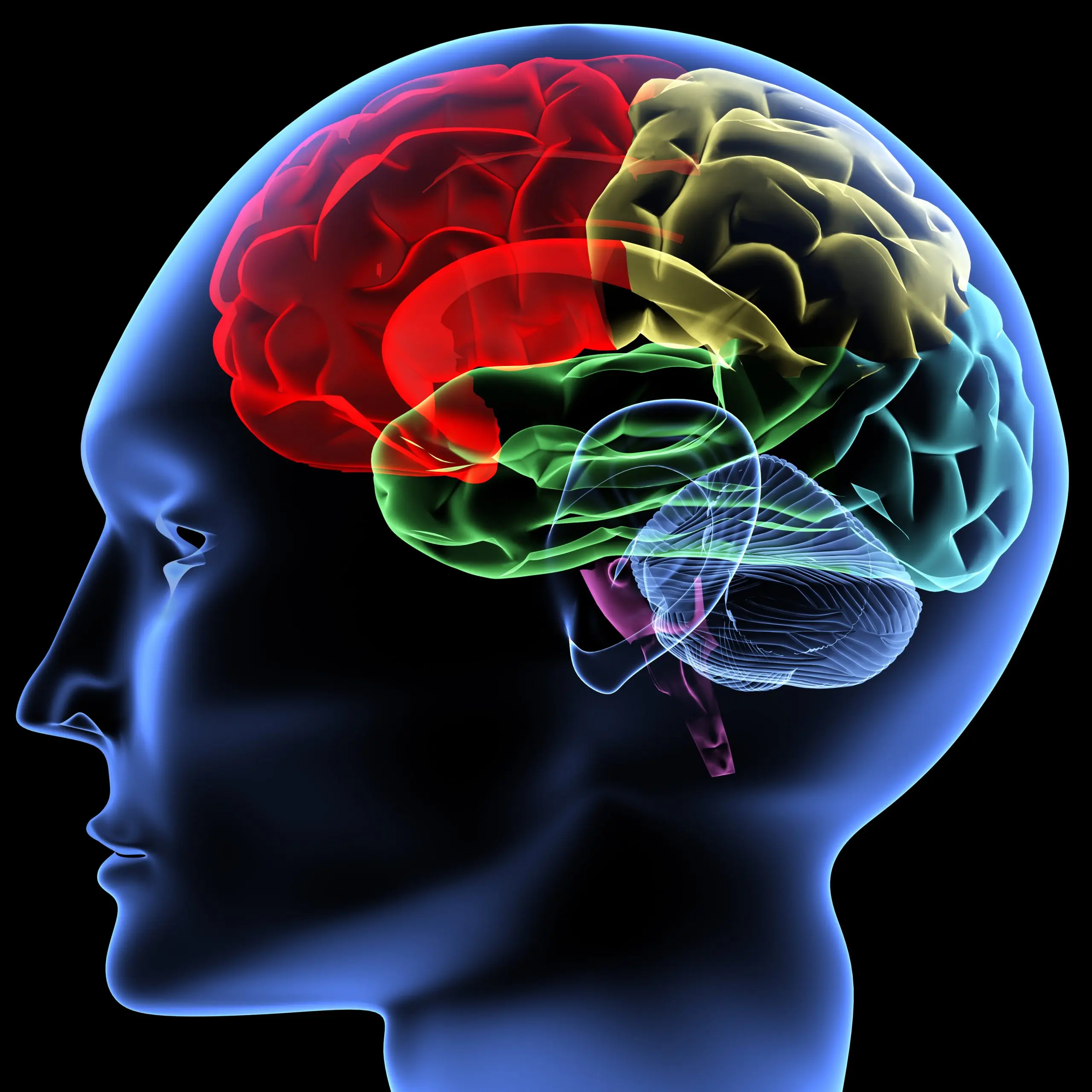 brain fitness -overcome fear