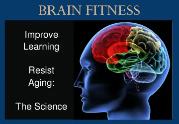 Brain Fitness Box Final