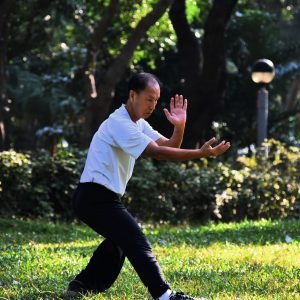 tai chi exercises