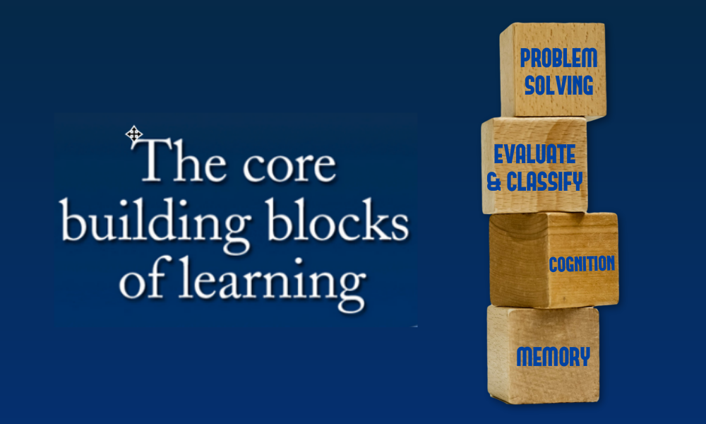 brain fitness and learning building blocks