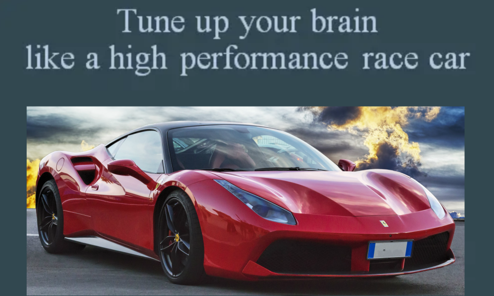 brain fitness and learning high performance