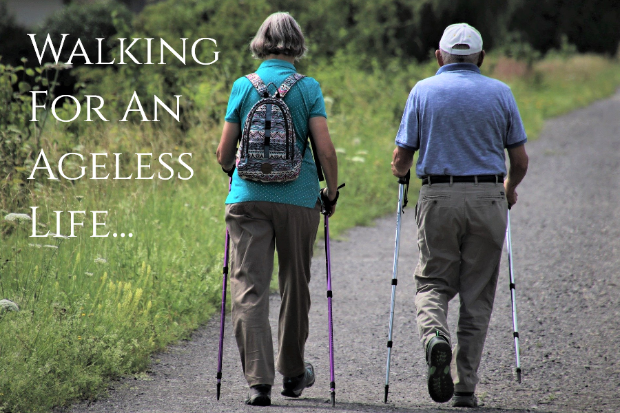 benefits of walking