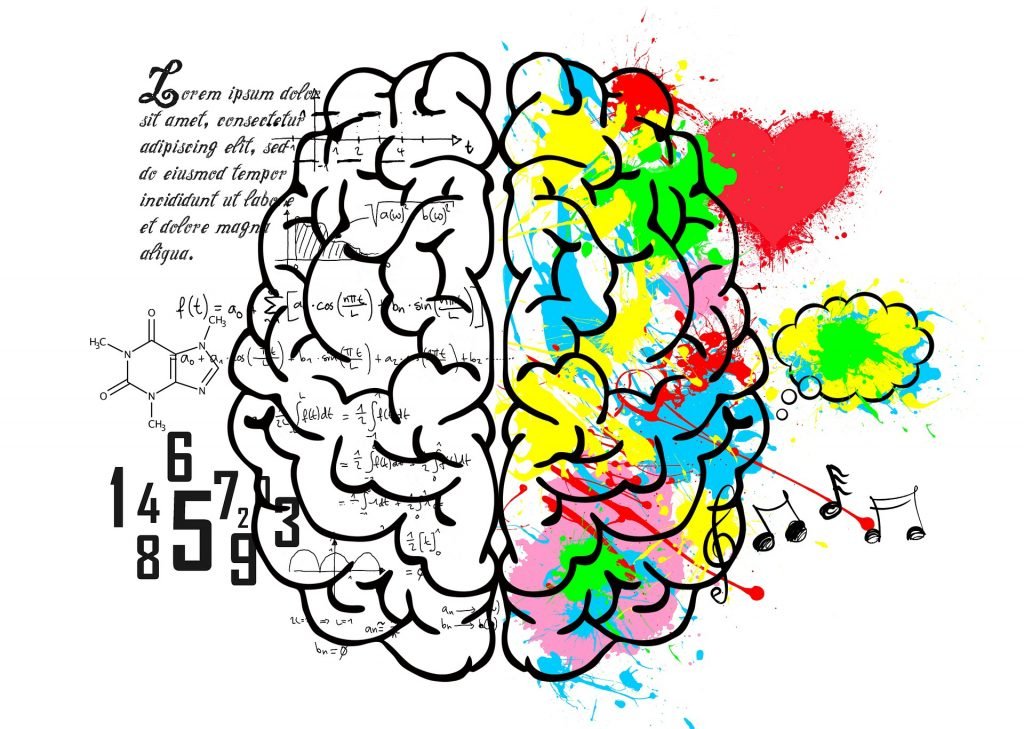 left brain right brain